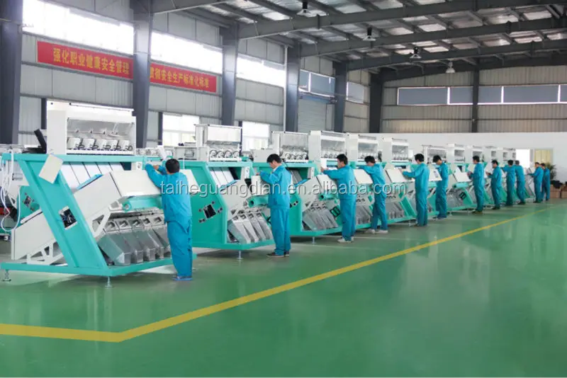 Sunflower seeds sorting milling machine ccd color sorter