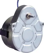 
49Tyj Synchronous Motor 