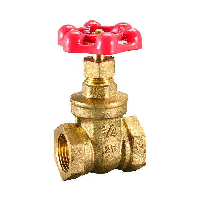 
20ZQ-808 Brass gate valve 