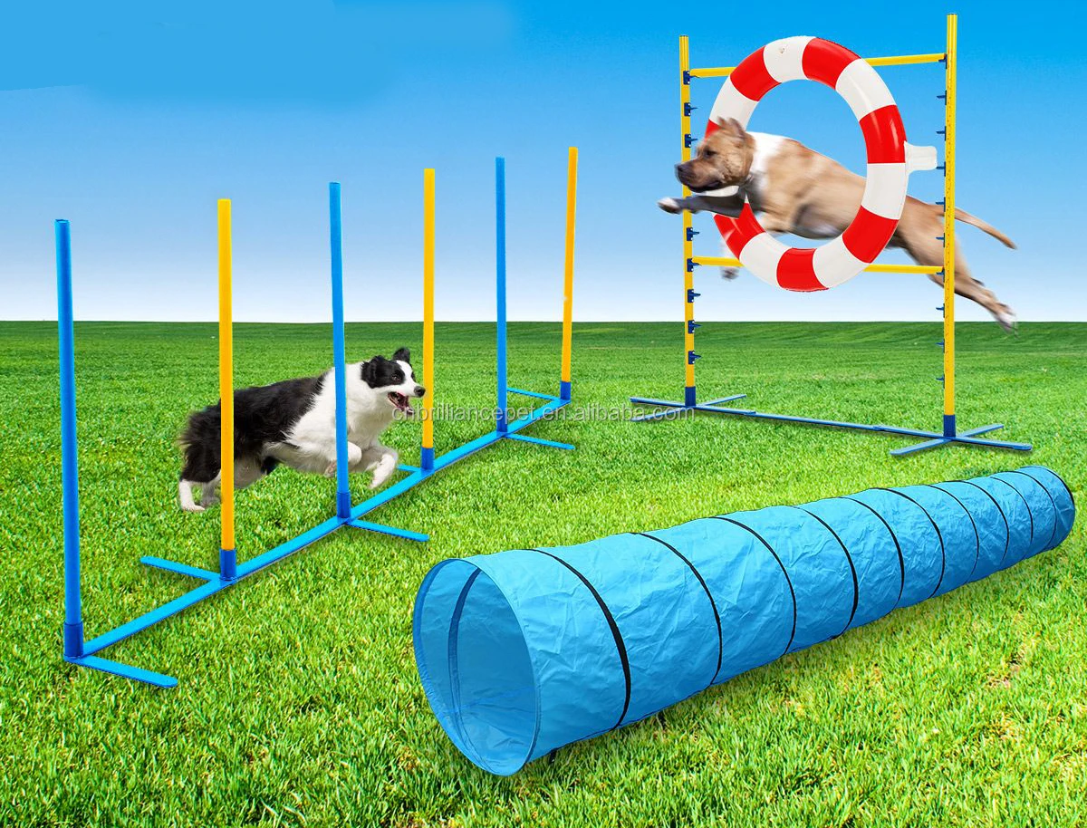 Dog Agility Product, Dog Weave Poles