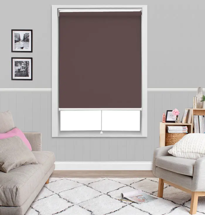 Cordless Roller Blind Light Filtering Fabric Spring Roller Curtain