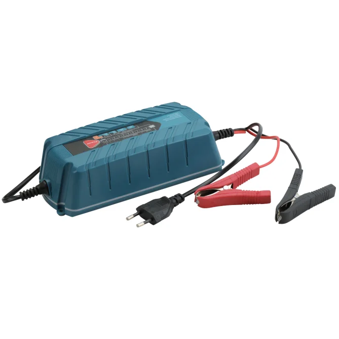 AC110V/230V car battery charger
