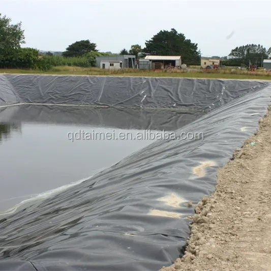 Geosynthetics HDPE Geomembrane Dam Liner