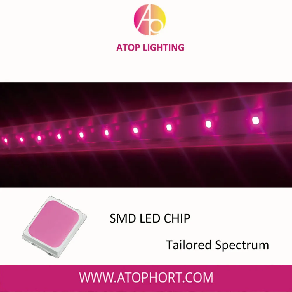 ATOP индивидуальные спектра гидропоники rgb светодиодные огни растут трубки для парниковых орхидеи саженцы сад Многолетние цветы
