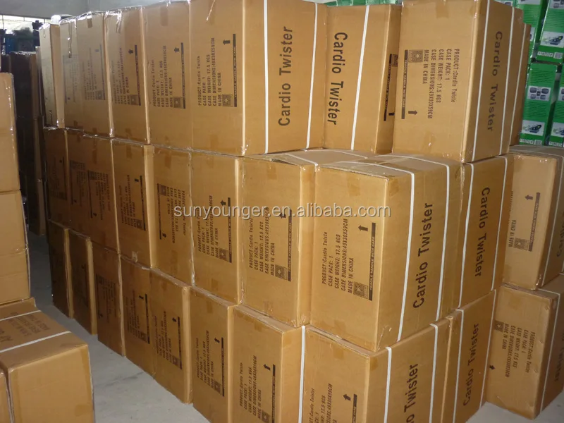 
Sunyounger Cardio Twister Stepper 