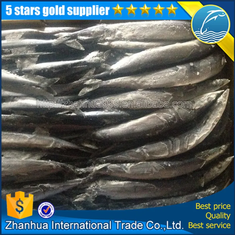 Seafrozen сайры рыбы упаковка коробки оптовая