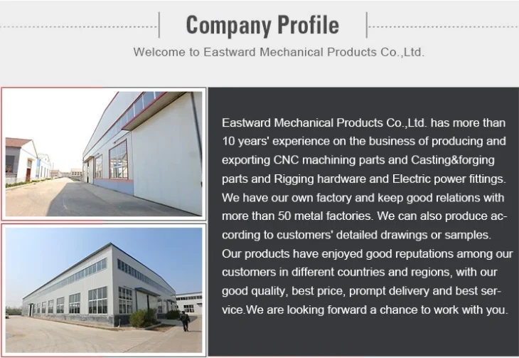 Company Profile