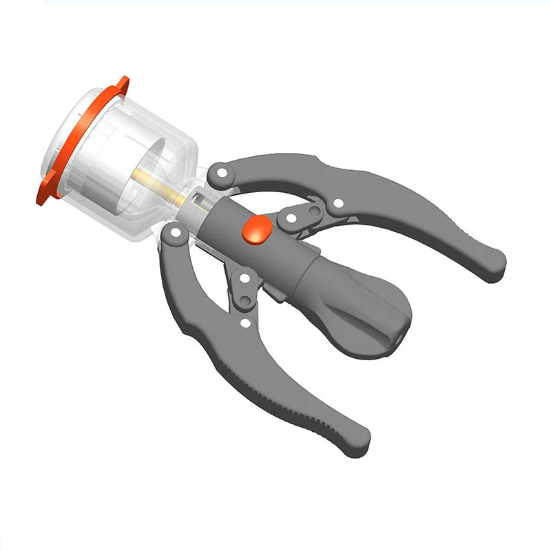 circunciso masculina adulta