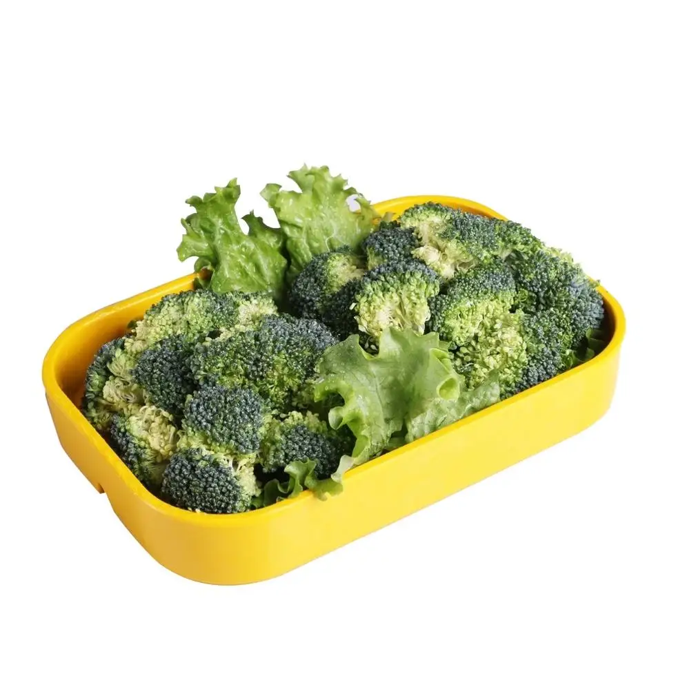 New Crop Frozen Broccoli IQF Broccoli Brocoli Made in China