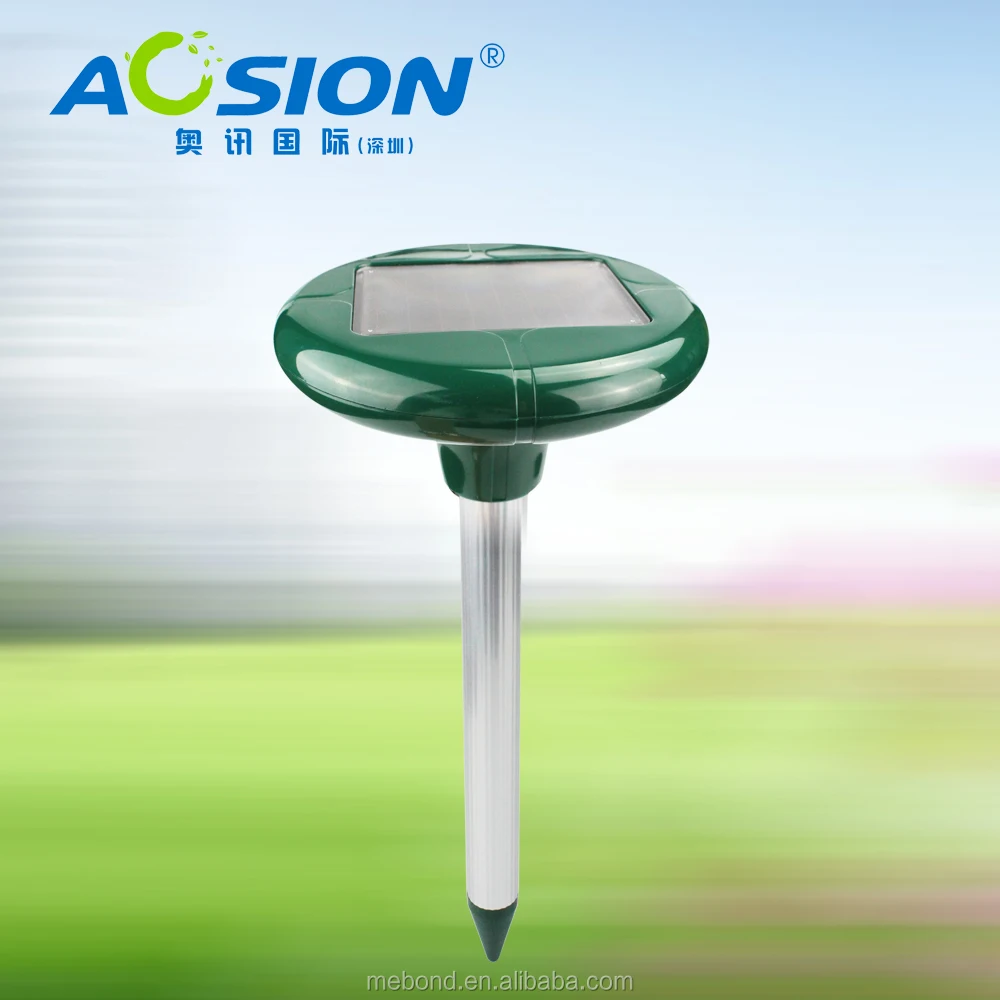 Шэньчжэнь солнечный мол и суслик штроборезы