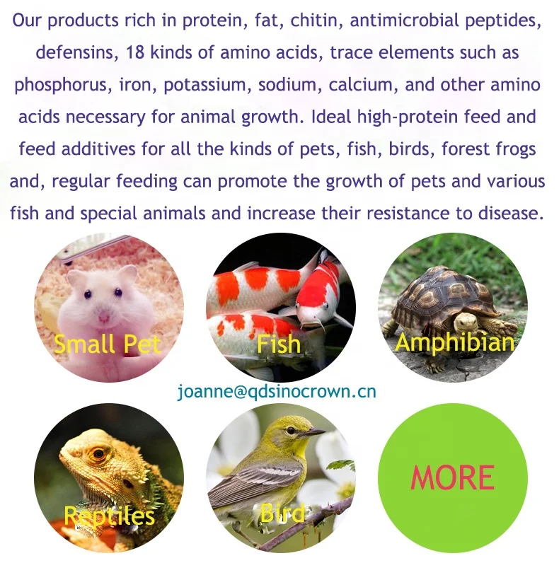 
Tang Fish Food Fish Feed Additive Defatted Mealworm Protein Powder 