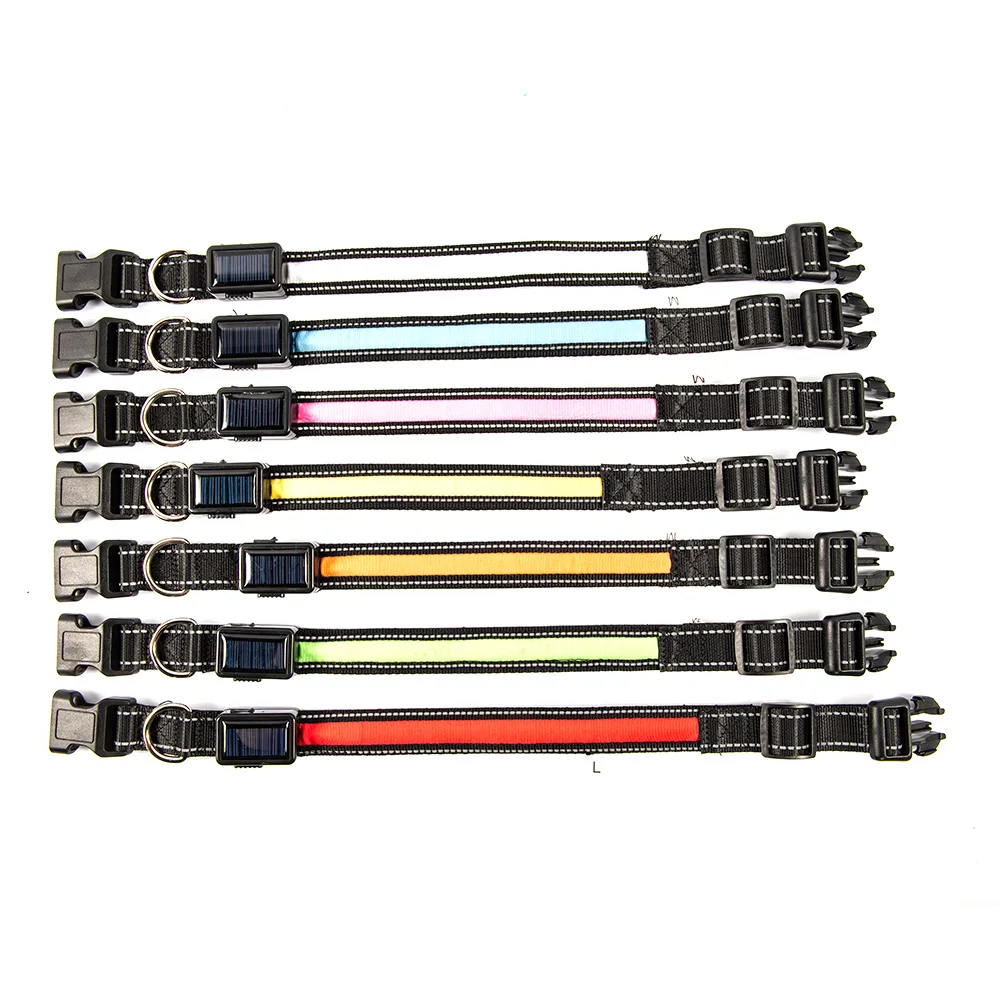 New Usb Rechargeable Light Up Glow Led de para perros for pvc charging pet safety fl on image leash waterproof dog collar