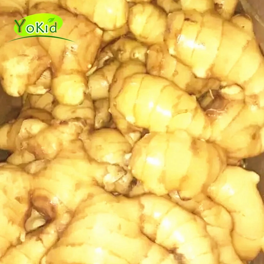 
Agriculture Of Wholesale Export Chinese Fresh Ginger Root Price 