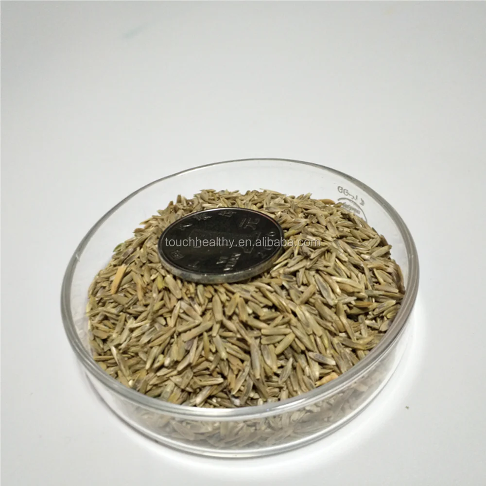 2021 perennial ryegrass seeds forage seeds grass seeds crude protein content in the stems and leaves