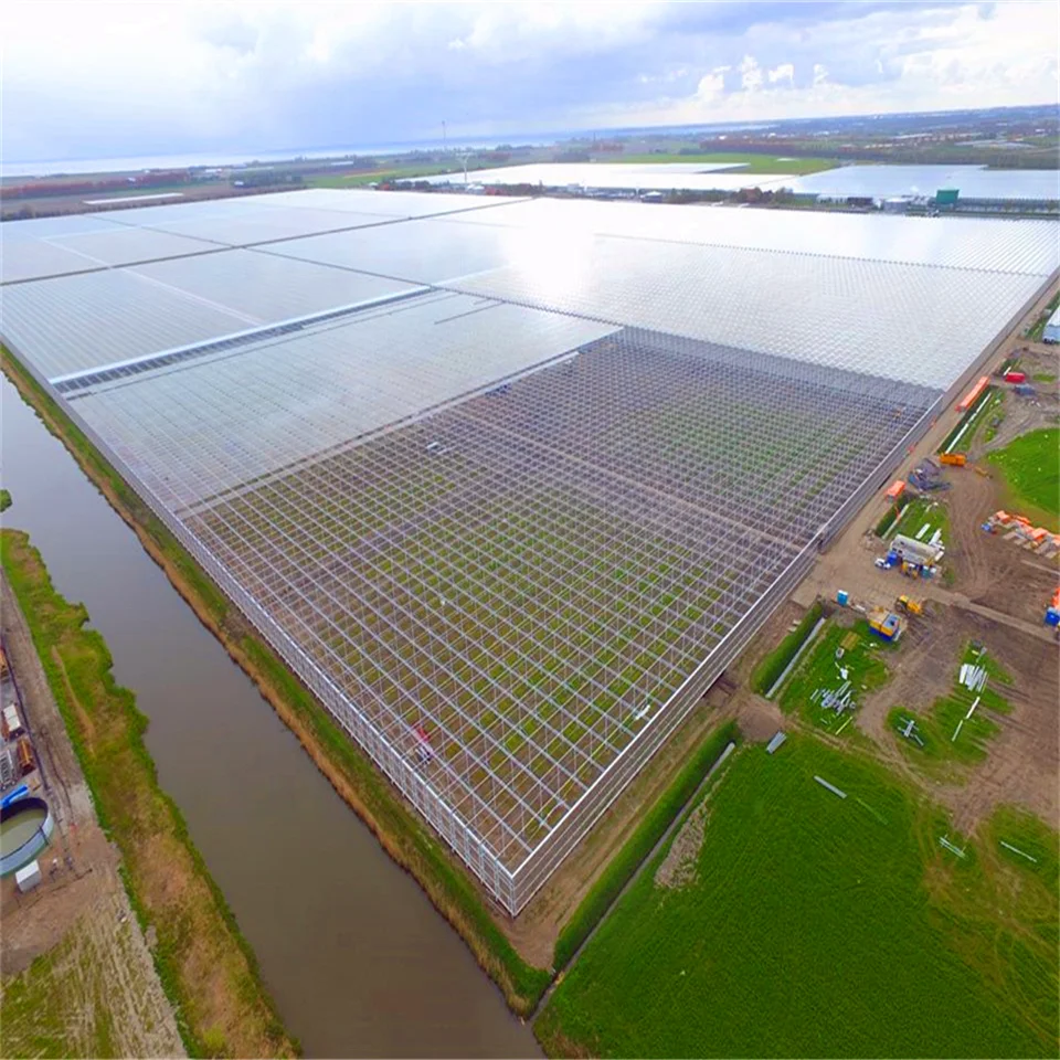 
acclimation greenhouse climate control farming commercial hydroponic system vertical 