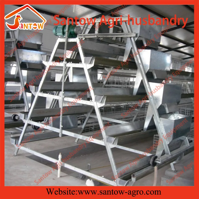 Senegal Battery Chicken House Designed Lowest Price Chicken Layer Cage For Sale( guangzhou Factory )
