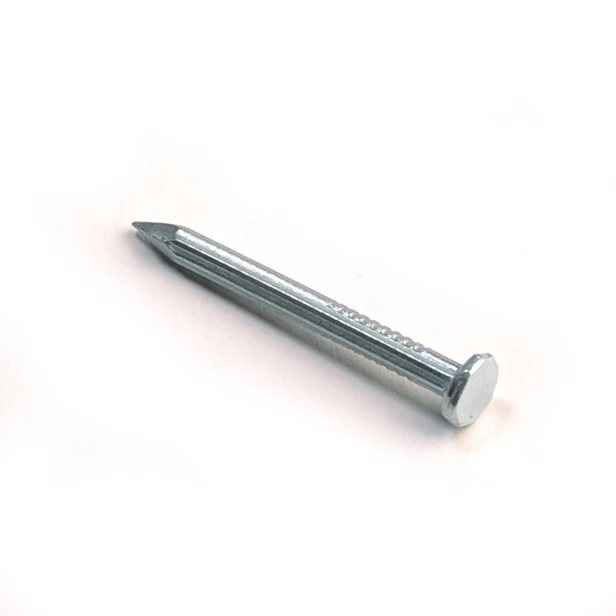 Electro Galvanized Concrete Nails and Steel Nails/ Steel  iron nails