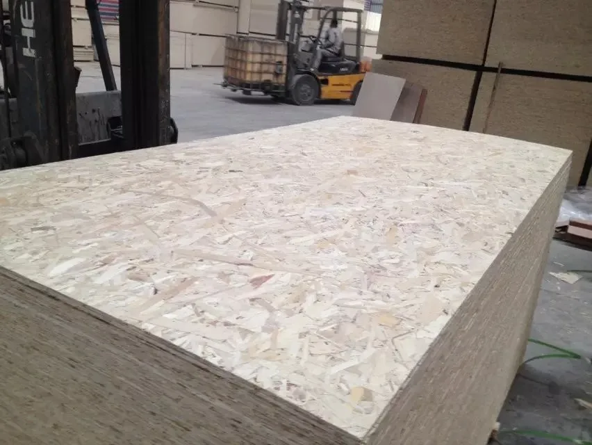 OSB board plywood for construction