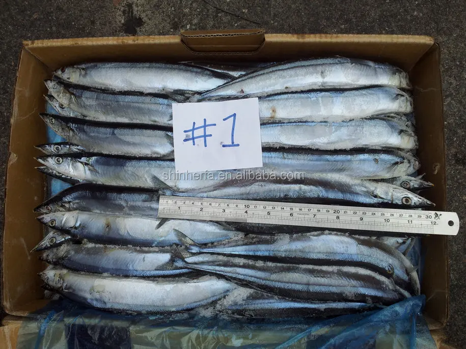 
Taiwan Frozen Pacific Saury #1 No.1 