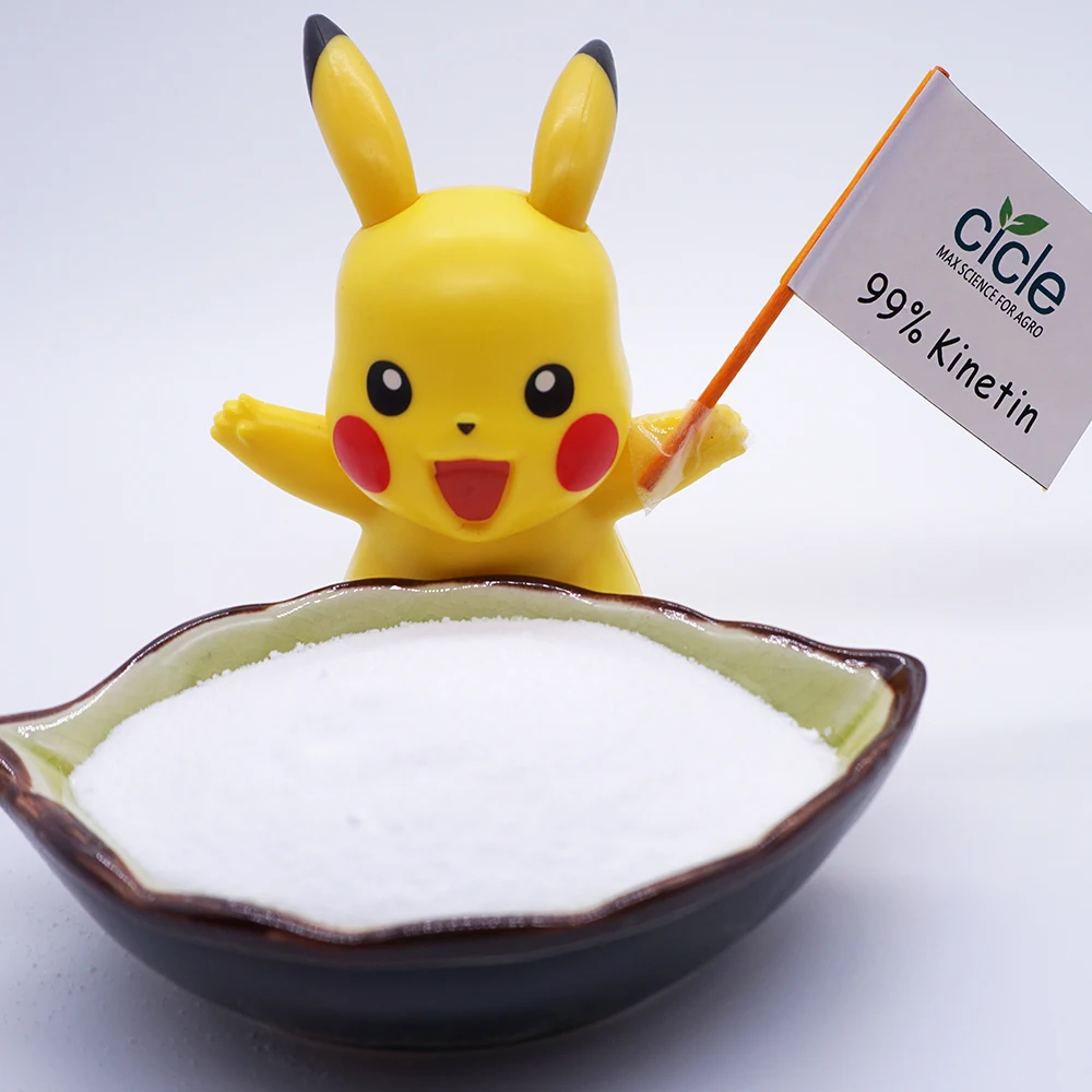 Free sample available kinetin cytokinin  CTK 99%TC plant growth regulator