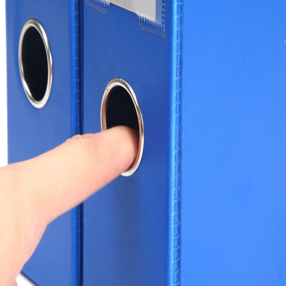 Custom Printing A4 File Folder/Plastic Folder/Document Folder