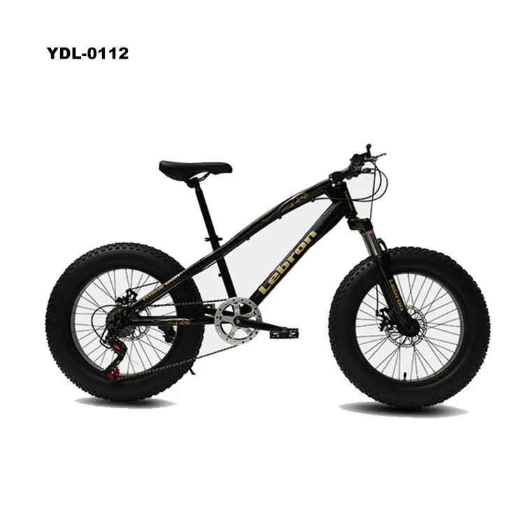 Wholesale 20 Inch Fat Tire Bike 24 Speed Beach Snow Bicycle Double Disk Brake Mountain Bikes