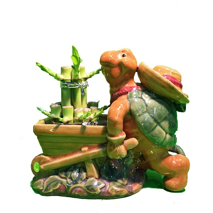 
Wholesale Bonsai Feng Shui Plants Lucky Bamboo Plants 