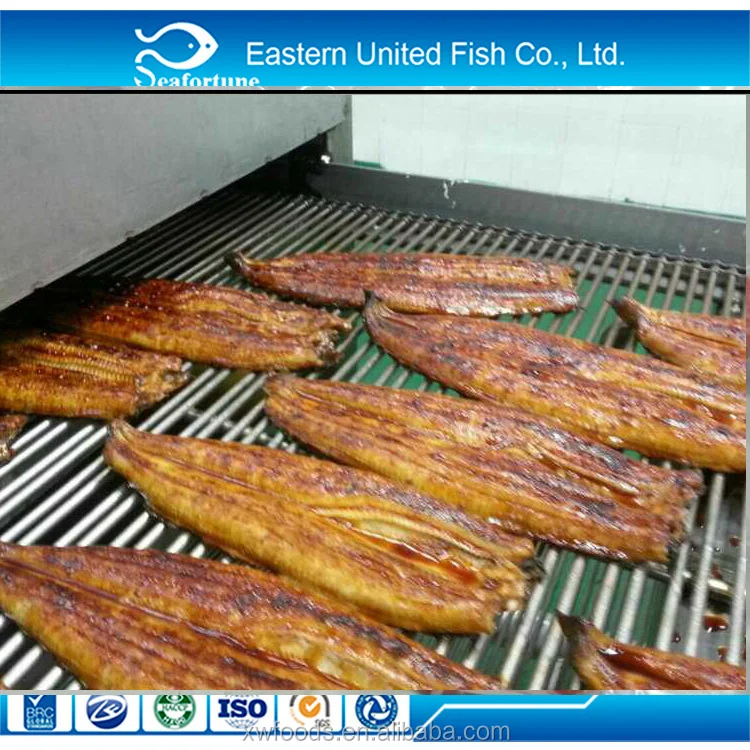 Frozen unagi kabayaki headless back cut Roasted eel