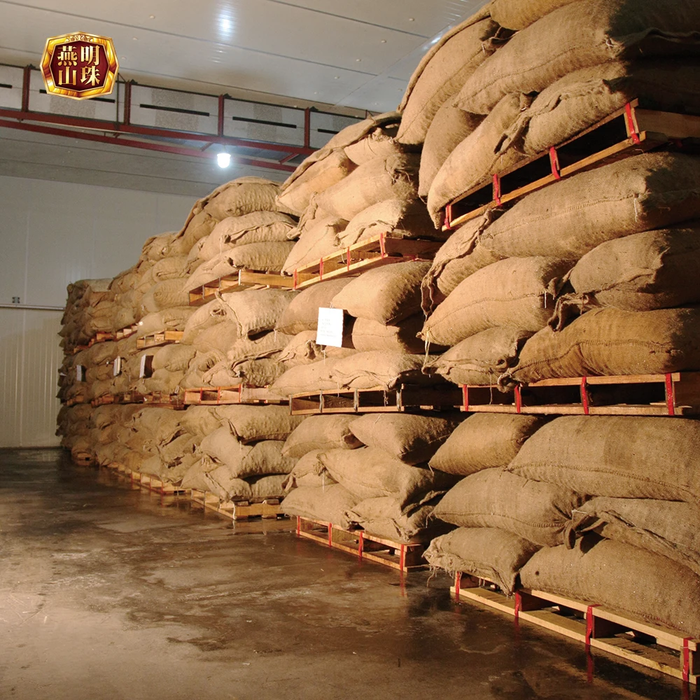 2020 Chinese Organic Hebei Origin Wholesale Harvesting Fresh Chestnuts