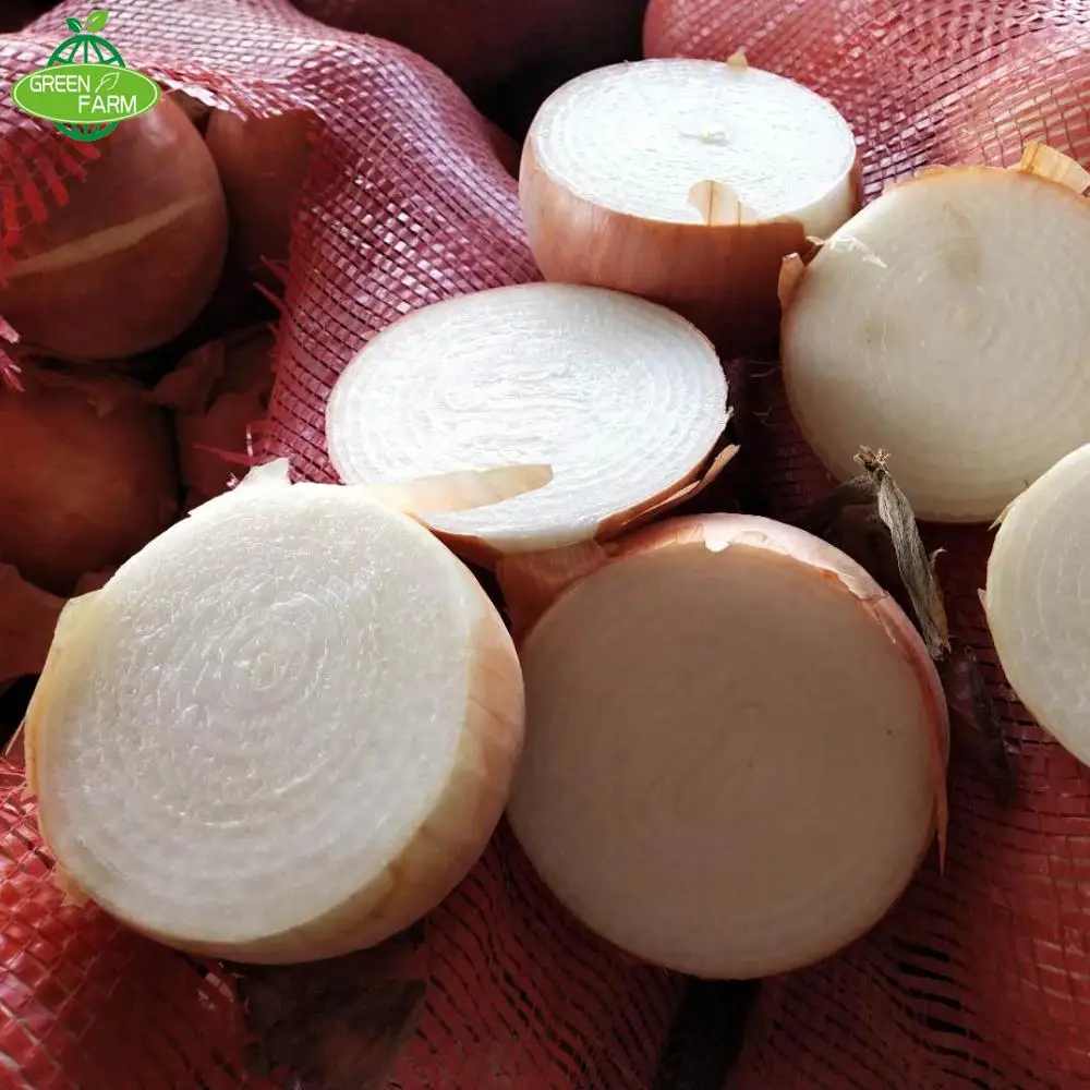 yellow onion packing in 25kg mesh bag  Sent to the Netherlands