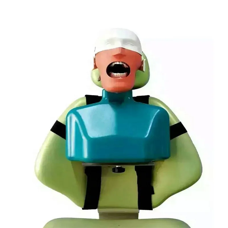 Dental Training Products Simulator Phantom Head Model with Torso High Grade for Pre-clinical