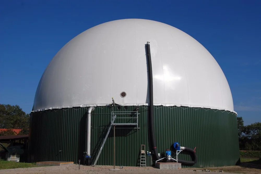 Methane gas torch with Double membrane gas for Biogas equipment