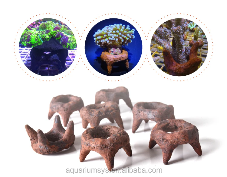 A.S. Coral Anchor/L -  Fraggie Holic Coral Anchor Ceramic Base Coral Holder Reef Chair