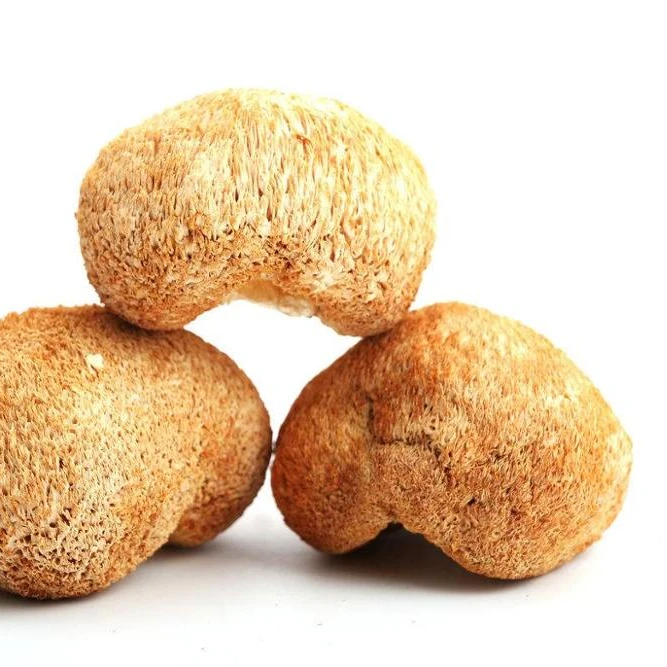
Chinese Supply Organic Hericium erinaceus mushroom 