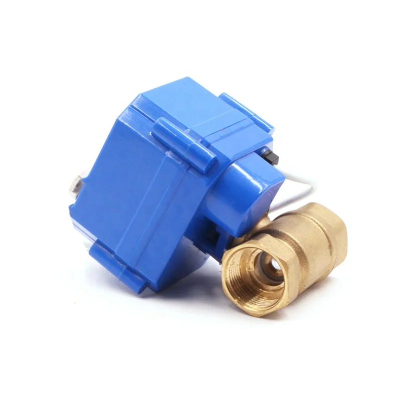 3v 5v 6v 12v 24v 110v 220v DN15 DN20 DN25 CWX-25S 2 way brass ss304 mini electric on off electric gas shut off valveelectric gas