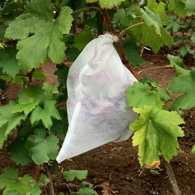 Pp spunbond нетканый дышащий защитный чехол для растений защитные пакеты фруктов