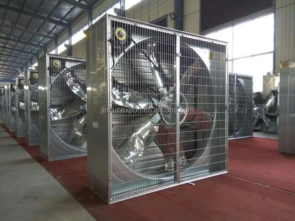 Industrial chicken house exhaust fan