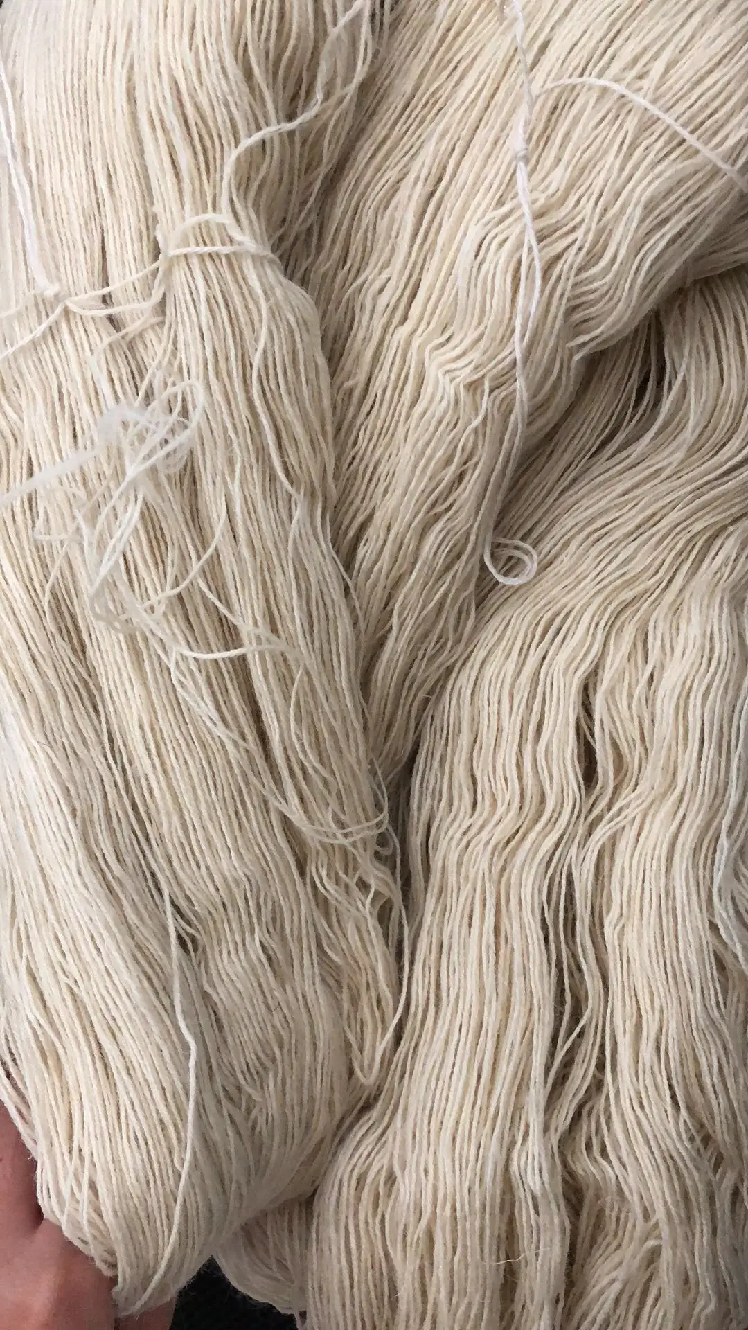 Carept wool yarn,Rug wool yarn ,roving wool carpet yarn price