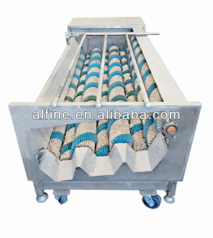 Newest professional hot sale high quality stainless steel white radish washing machine