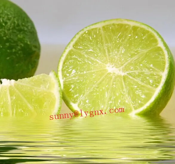 kosher Organic Citric Acid BP98/E330/FCC/FCCV