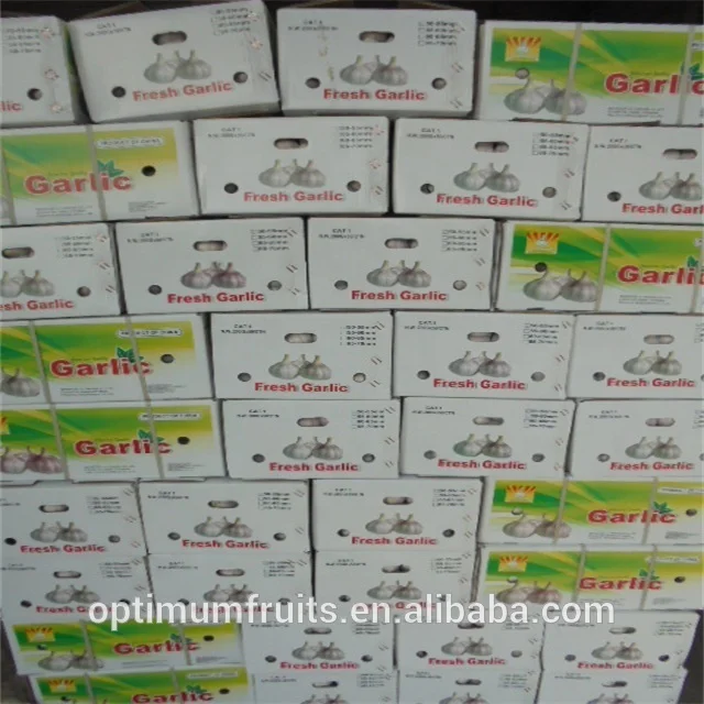 
Knoblauch knoflook czosnek Ail Aglio to fresh garlic importers China 