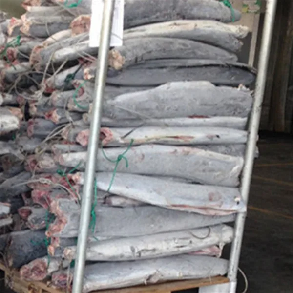 Frozen sailfish HGT blue marlin seafrozen