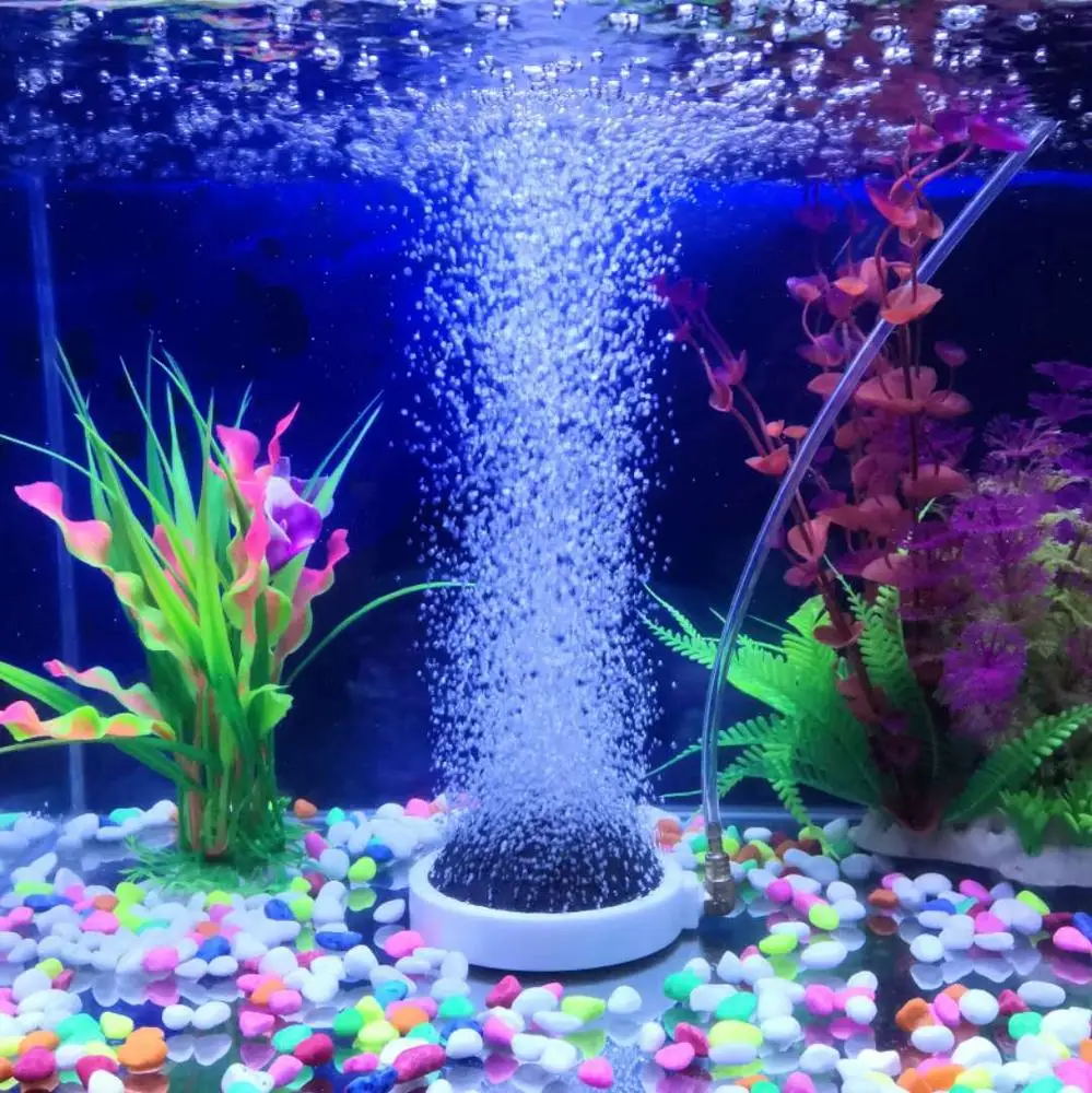 HiSin BS018-107 107*19mm In bluk disc shaped aquarium air oxygen stone diffuser hydroponic and growing system stone