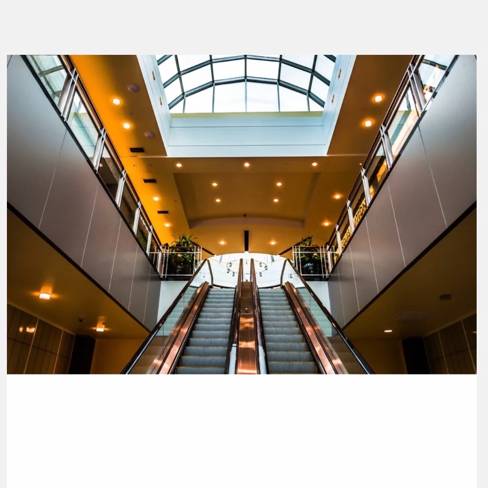 
Escalator New Design Best Price Commercial Outdoor 