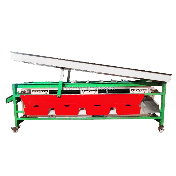 
Large capacity stainless steel blueberry cherry citrus sorter processing machine 