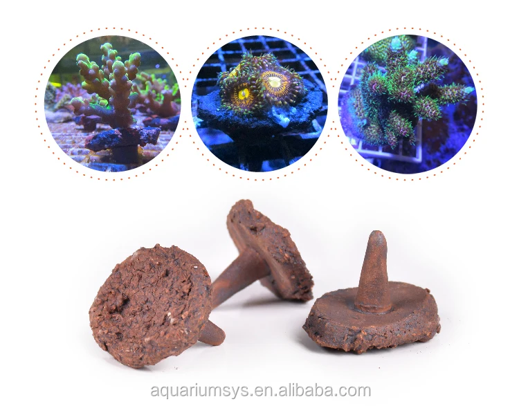 ASFD-T/L - AS Fraggie Holic Coral Frag Disc Ceramic Base Coral Reef Frag Plug