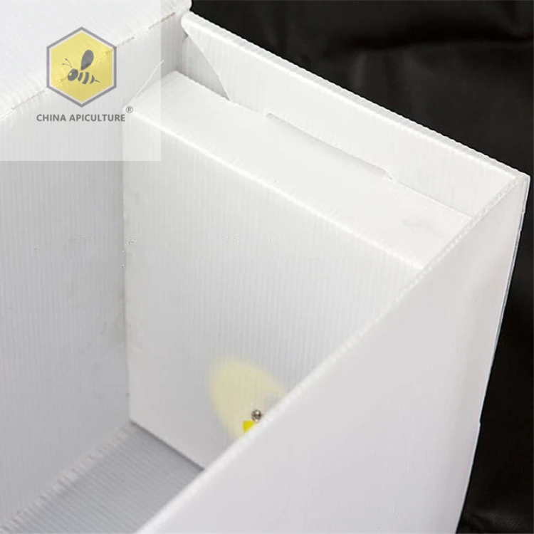 Оборудование для пчеловодства из Китая corflute beehive 100% полипропиленовый пластиковый hive nuc box