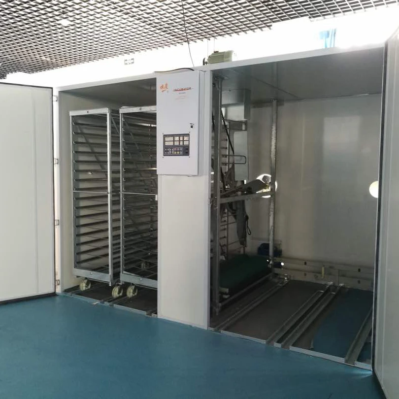 
Big Farm poultry chicken egg incubator 