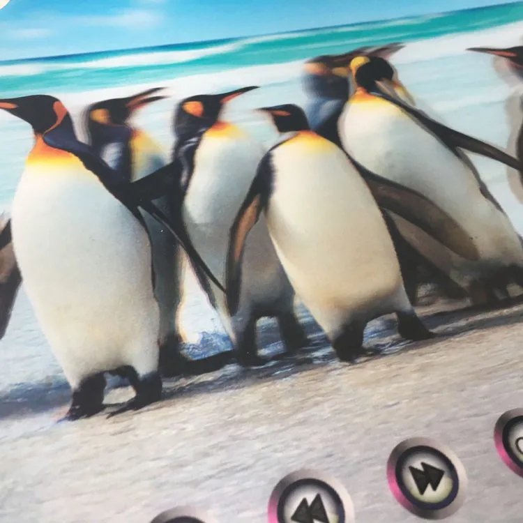 Wholesale custom Popular 3d lenticular sheet picture printing cheap 3d pictures 3d lenticular lens 3D flip postcard for gifts