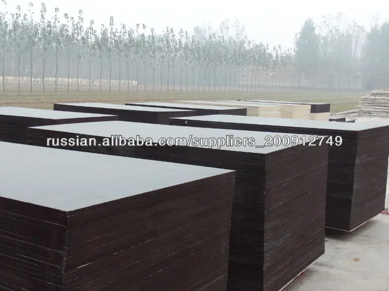 1220*2440*12,15,18,21mm laminated plywood board for Russia, Georgia